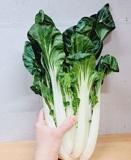Bok Choy Large 